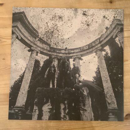 Witchthroat Serpent - Swallow The Venom [LTD LP] (Grey Splatter Vinyl) (2. hand) - Bilde 5