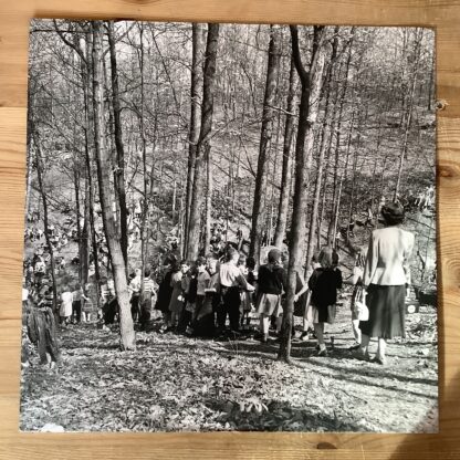 Jack White - Entering Heaven Alive [LTD LP] (2. hand) - Bilde 6