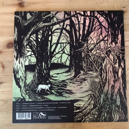 Envy - The Fallen Crimson [LTD 2xLP] (Splatter Vinyl) (2. hand) - Bilde 2