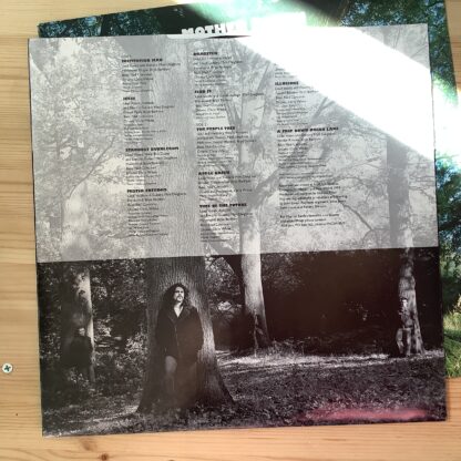 Mother Earth - The People Tree [LP] (2. hand) - Bilde 5