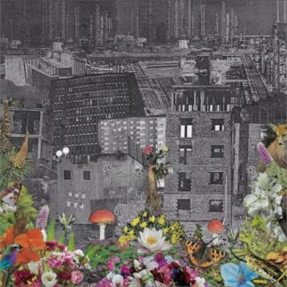 Bloody Head - Perpetual Eden [LP]