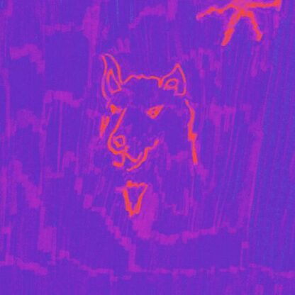 Dehd - Poetry [LTD LP] (Coloured Vinyl)