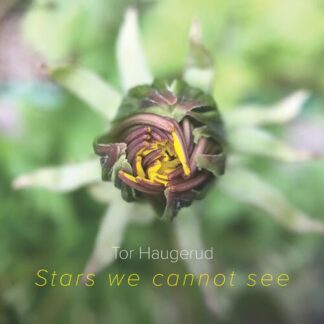 Tor Haugerud - Stars We Cannot See [LP]