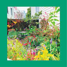 The Reds, Pinks And Purples - Unwishing Well [LTD LP] (White Vinyl)