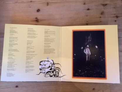 Ring Van Möbius - Past The Evening Sun [LP] (2. hand) - Bilde 3