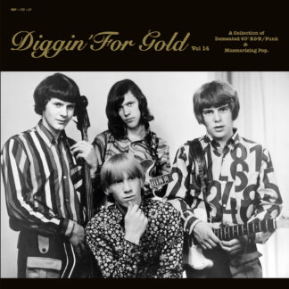 Various Artists - Diggin’ For Gold Vol. 14 [LP]