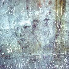 Jim White - Drill a Hole in That Substrate and Tell Me What You See [2xLP]