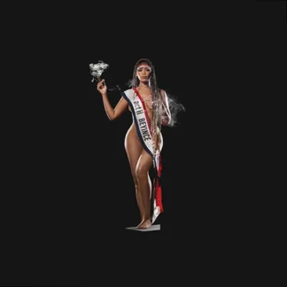 Beyoncé - Cowboy Carter [2xLP]
