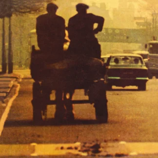 Ronnie Lane - Anymore For Anymore [LP]