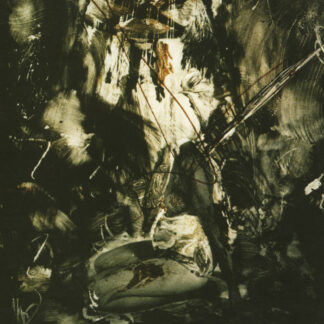 Fields Of The Nephilim - Elizium [LTD 2xLP]