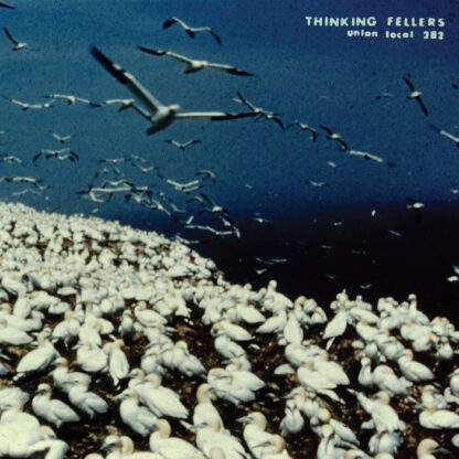 Thinking Fellers Union Local 282 - These Things Remain Unassigned [2xLP]