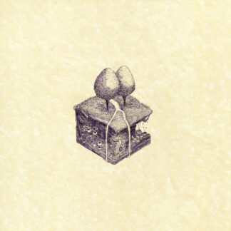 Kiran Leonard - Western Culture [LP]
