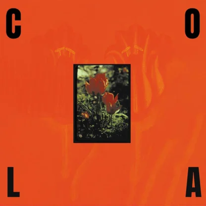Cola - The Gloss [LTD LP] (Transparent Olive Green Vinyl)