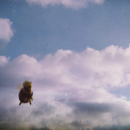 POND - Stung! [LTD 2xLP] (Splatter Bee Vinyl)
