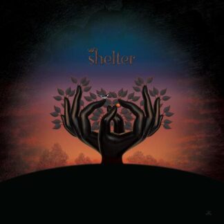 Laughing Stock - Shelter [LP]