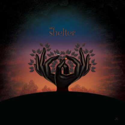 Laughing Stock - Shelter [LP]