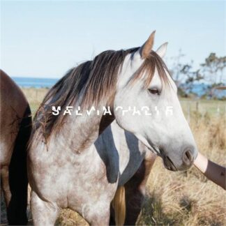 salvia palth - melanchole [LP]