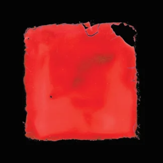 salvia palth - last chance to see [2xLP]