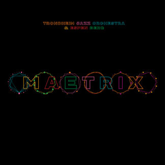 Trondheim Jazz Orkester og Espen Berg - Maetrix [2xLP]