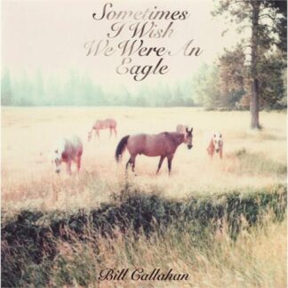 Bill Callahan - Sometimes I Wish We Were An Eagle [LP]