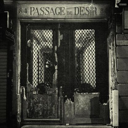 Johnny Blue Skies - Passage Du Desir [LP]