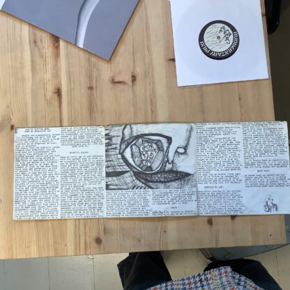 Rudimentary Peni - Farce [7"] (2. hand) - Bilde 3