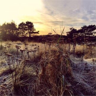 Ane Brun - Leave Me Breathless [LP]
