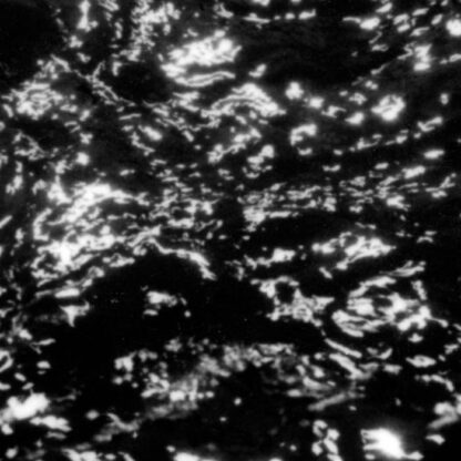 Grouper - A I A : Dream Loss [LP]