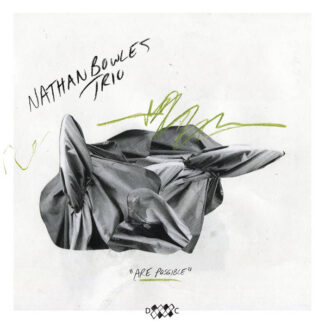 Nathan Bowles Trio - Are Possible [LP]
