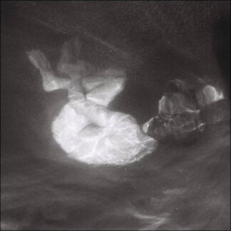 Alice Phoebe Lou - Glow [LP]
