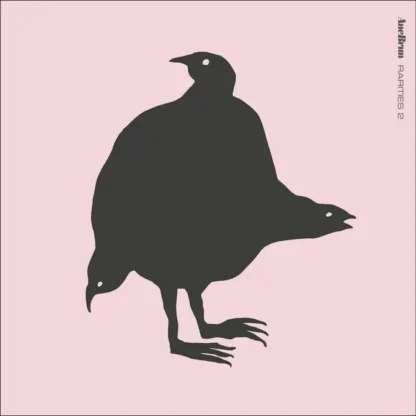 Ane Brun - Rarities 2 [LP]