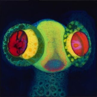 Osees - SORCS 80 [LTD LP] (Coloured Vinyl)