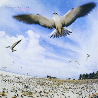 Masayoshi Takanaka - Seychelles [LTD LP] (Coloured Vinyl)