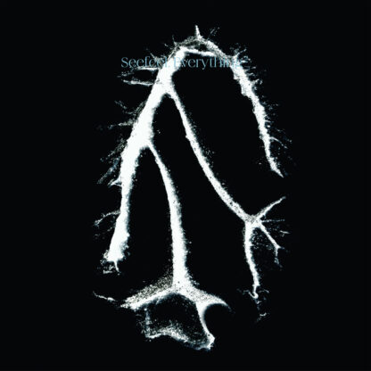 Seefeel - Everything Squared [LP]