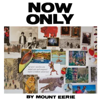 Mount Eerie - Now Only [LP]
