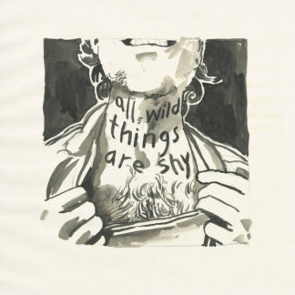 Richard Laviolette - All Wild Things Are Shy [2xLP]