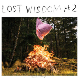 Mount Eerie - Lost Wisdom, Pt. 2 [LP]