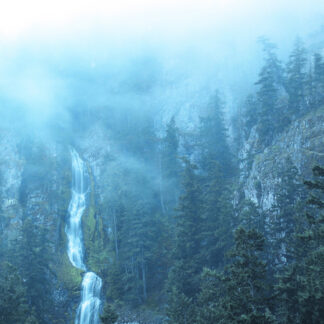Wolves In The Throne Room - Diadem Of 12 Stars [2xLP]