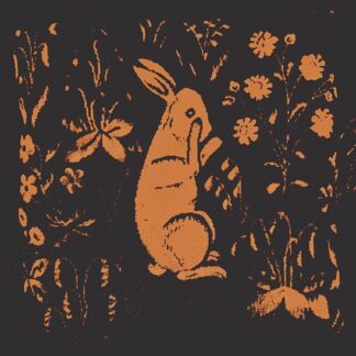 Sadness - AKA rabbit [LP]