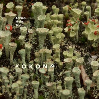 Adrian Myhre Trio - Kokong [LP]