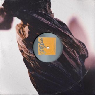 Pixies - The Night the Zombies Came [LP]