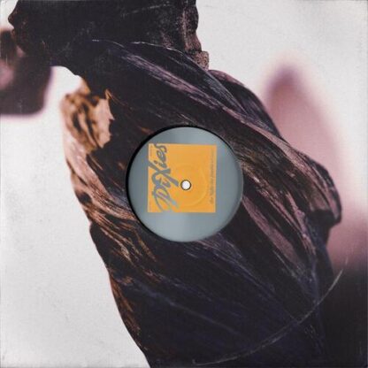 Pixies - The Night the Zombies Came [LP]