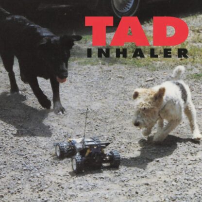 TAD - Inhaler [LP]