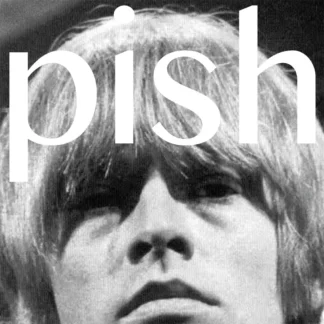 The Brian Jonestown Massacre - Mini Album Thingy Wingy [LP]