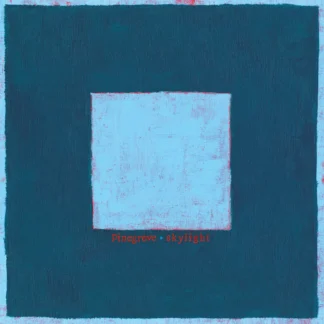 Pinegrove - Skylight [2xLP]