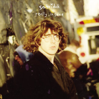 Sentridoh - Really Insane : A Lou Barlow Compendium [2xLP]