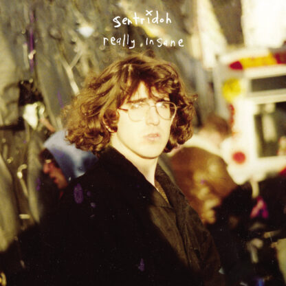 Sentridoh - Really Insane : A Lou Barlow Compendium [2xLP]