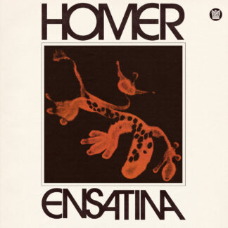Homer - Ensatina [LTD LP]