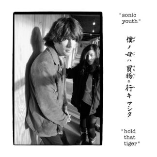 Sonic Youth - Hold That Tiger [2xLP]