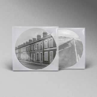 Manic Street Preachers - Critical Thinking [LTD LP] (Picture Disc)